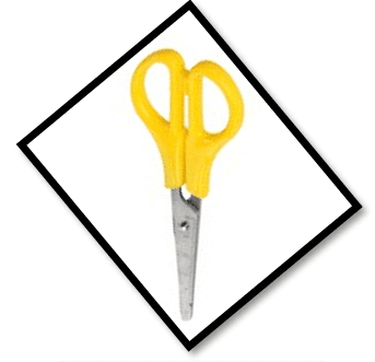 School Junior Beginners Scissors